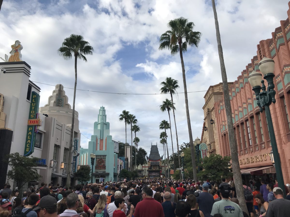 PHOTO REPORT Disney's Hollywood Studios 11/4/19 (New Knitted Spirit