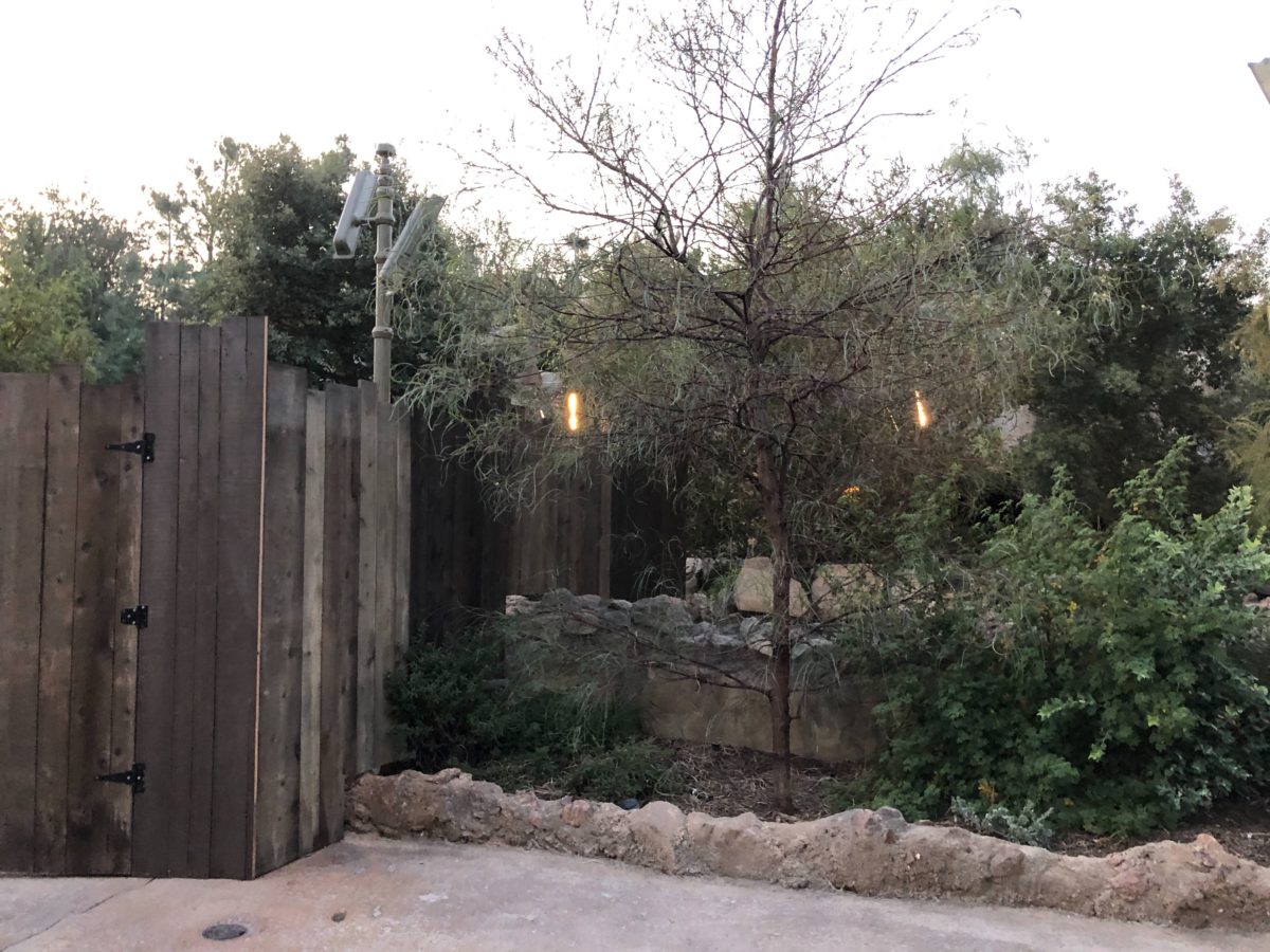 Construction Walls Appear at Star Wars: Rise of the Resistance at Disneyland's Star Wars: Galaxy's Edge