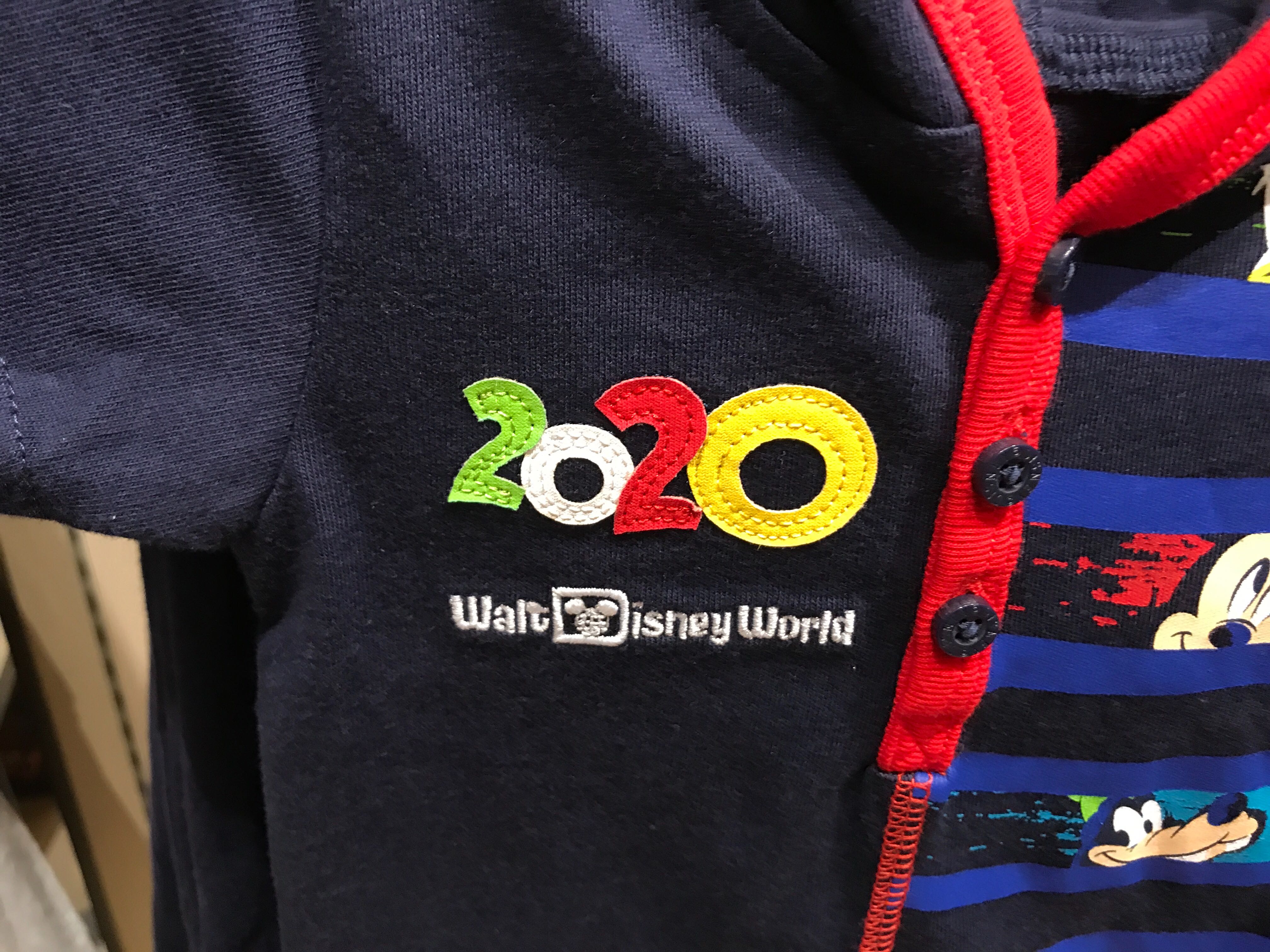 disney world 2020 shirt