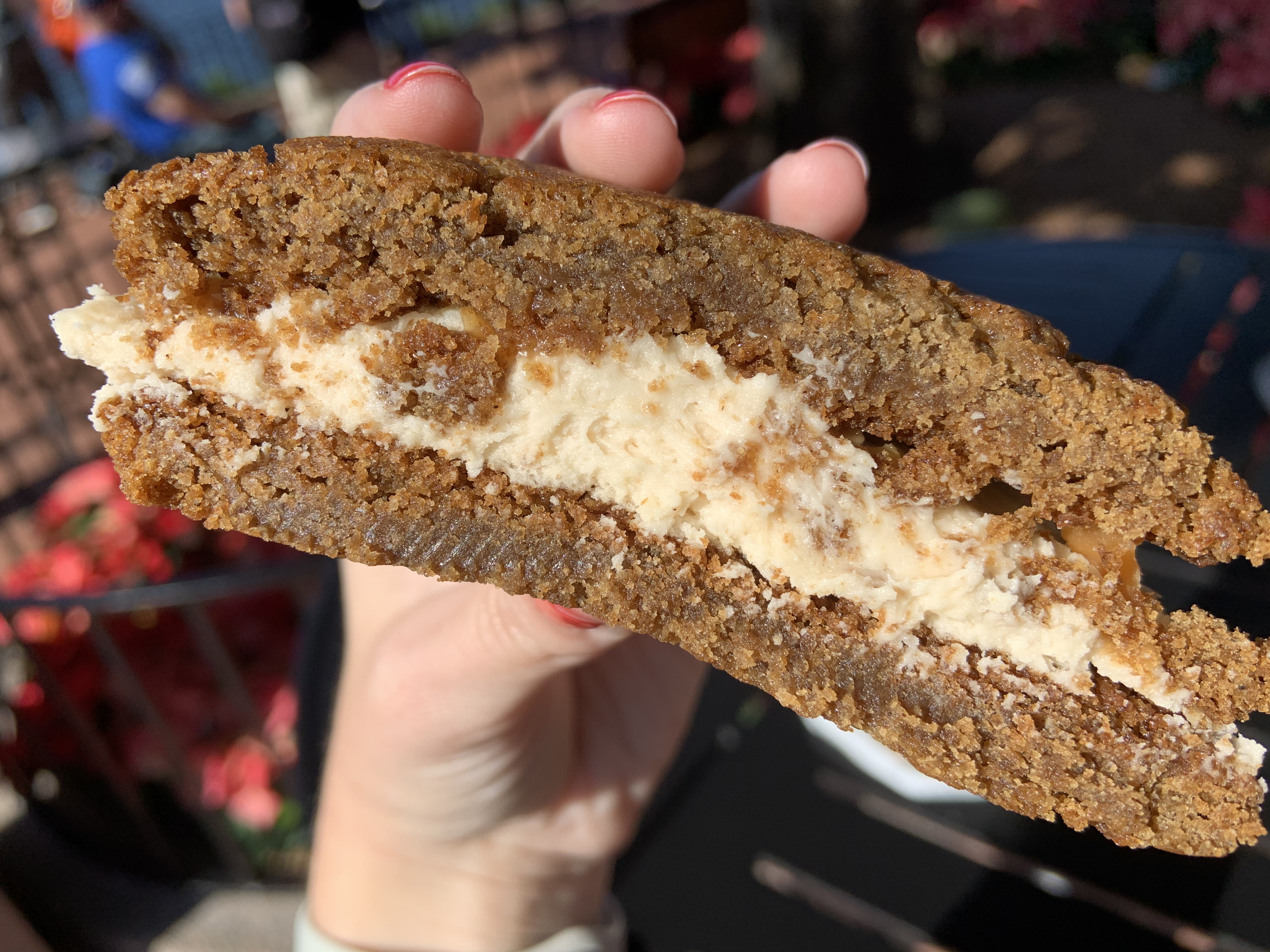 Gingerbread Cookie Sandwich Karamell Kuche 12/3/19 16