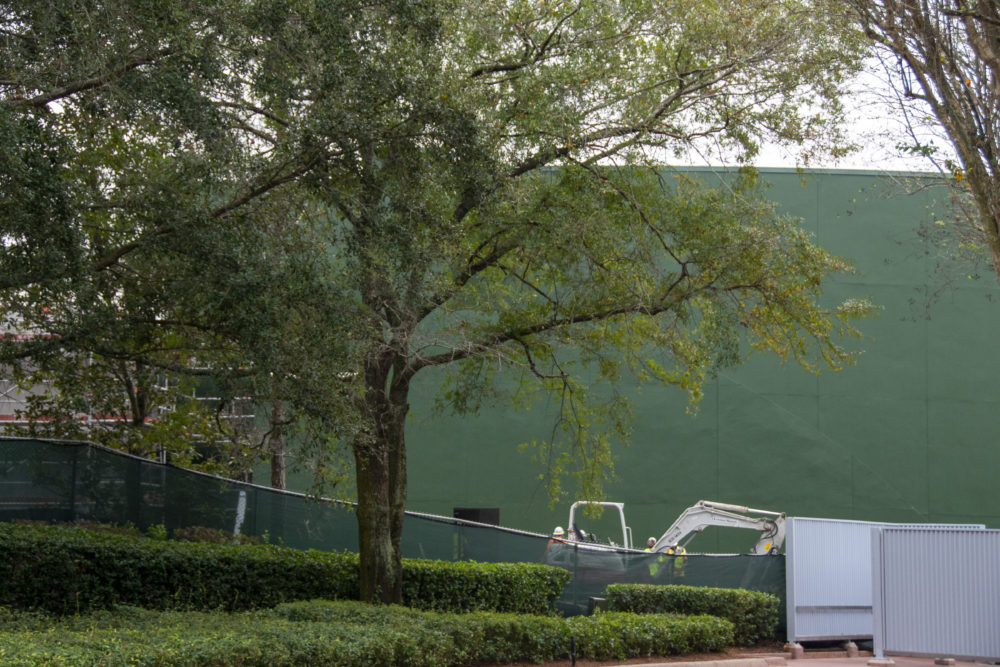 EPCOT Photo Report 12 30 19 space 220