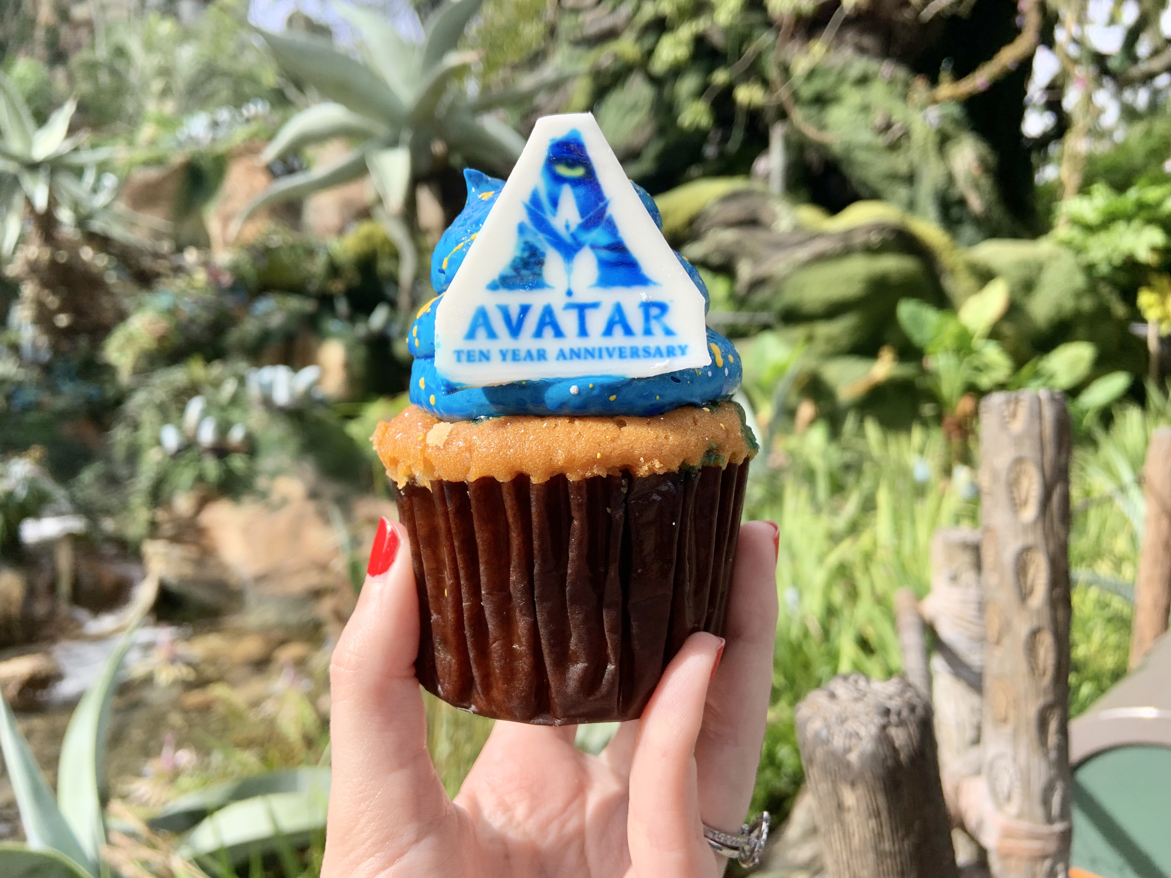 Avatar Anniversary Cupcake 12/17/19 7