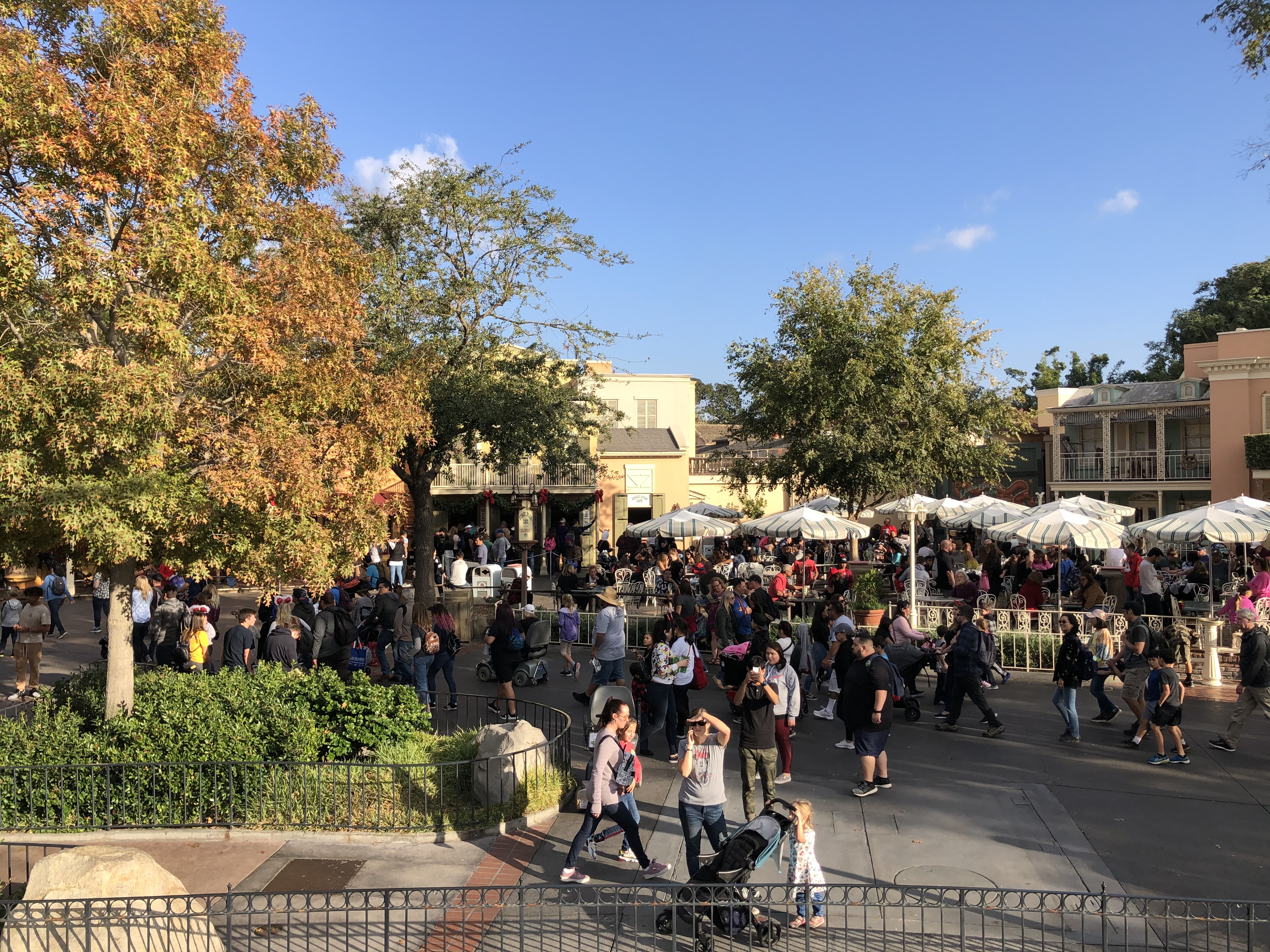 New orleans square dl