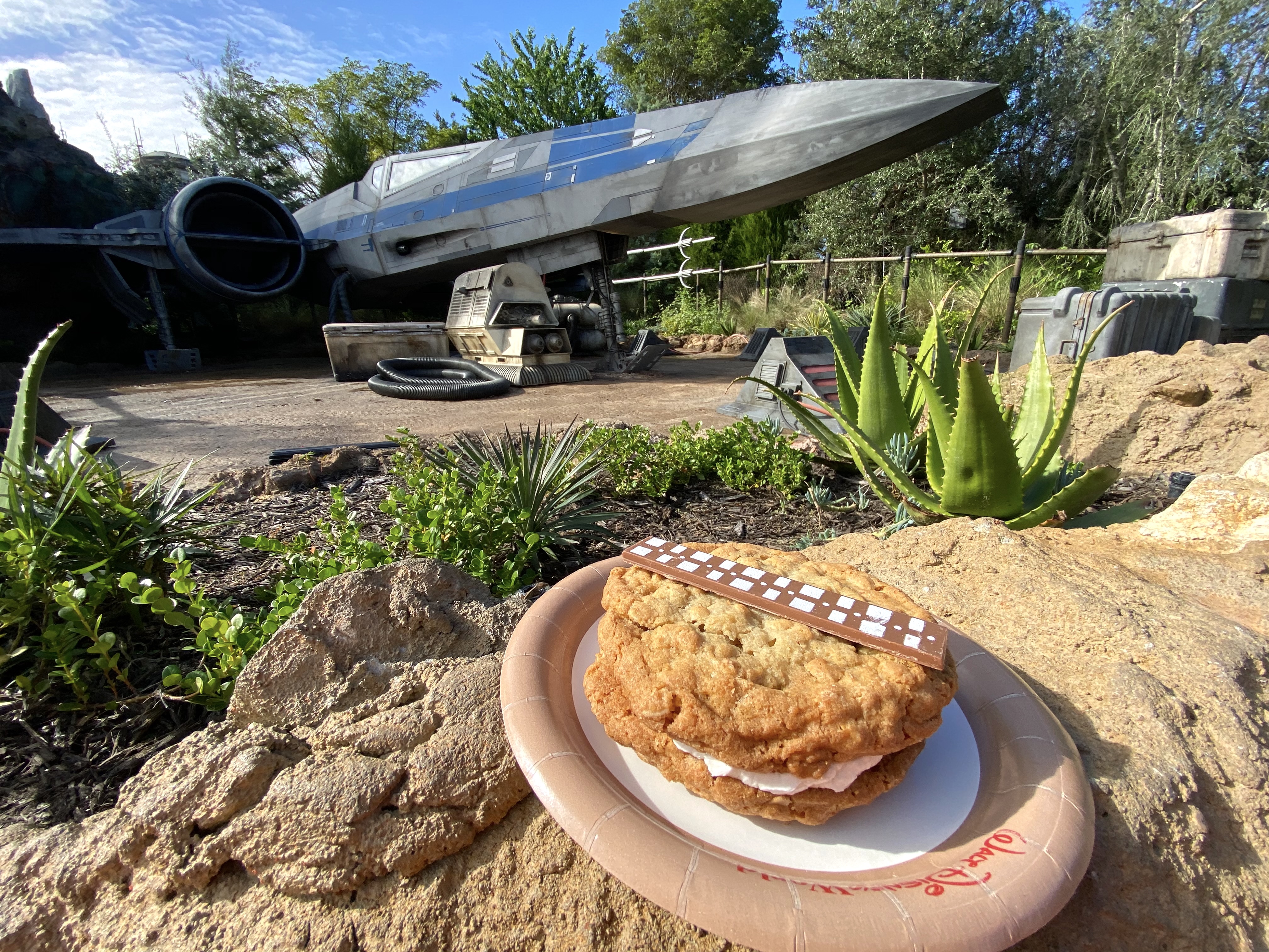 chewbacca oatmeal cookie dhs dec 2019 12
