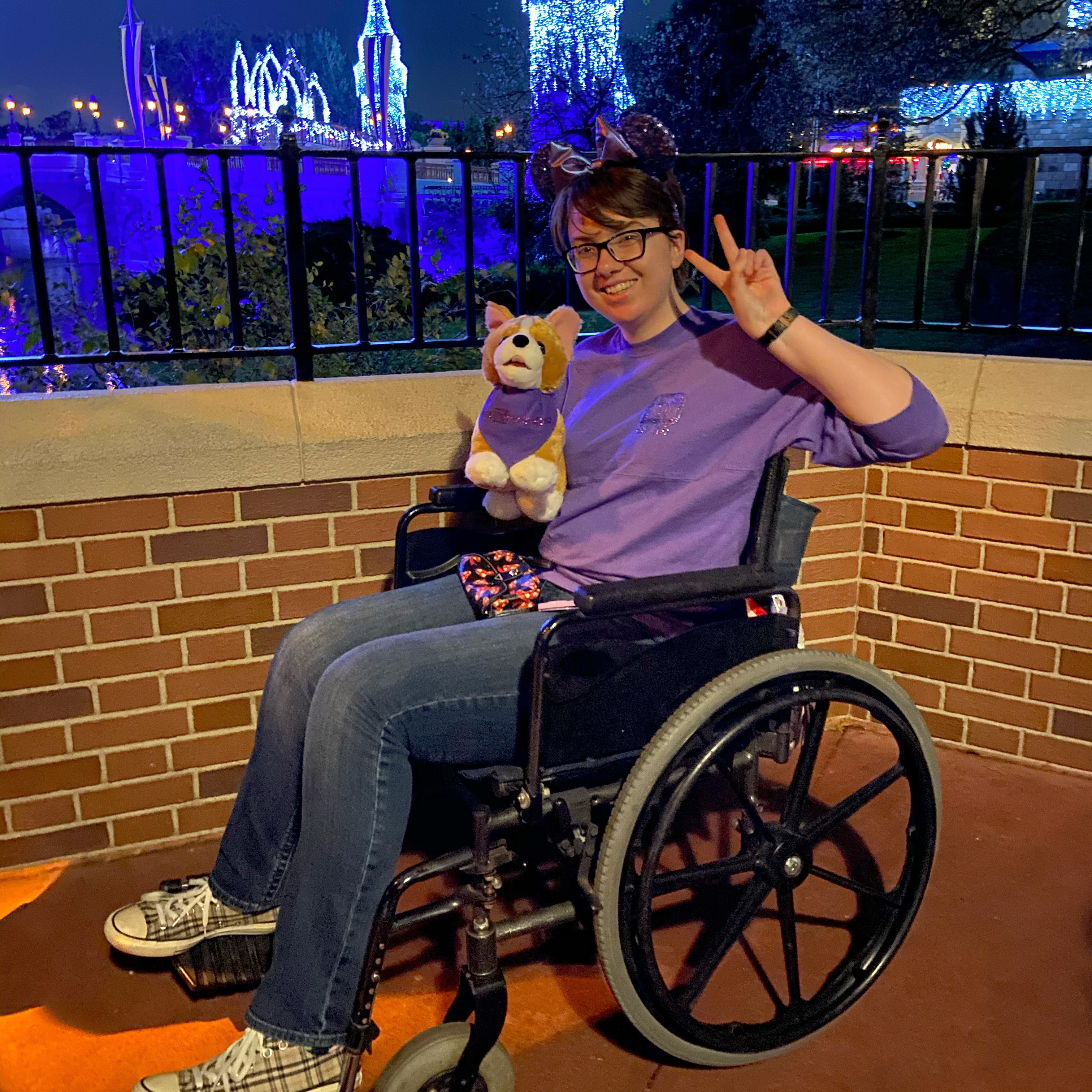 magic kingdom wheelchair