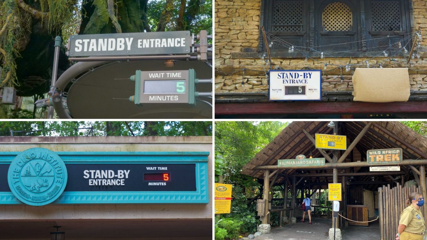 PHOTOS: Disney's Animal Kingdom Reopens with Extremely Low Wait Times