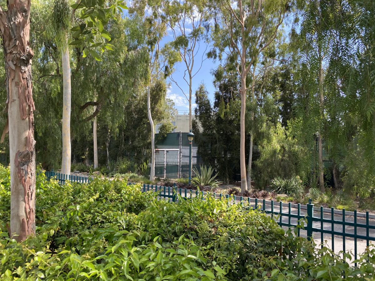 Disneyland Resort Tram Route