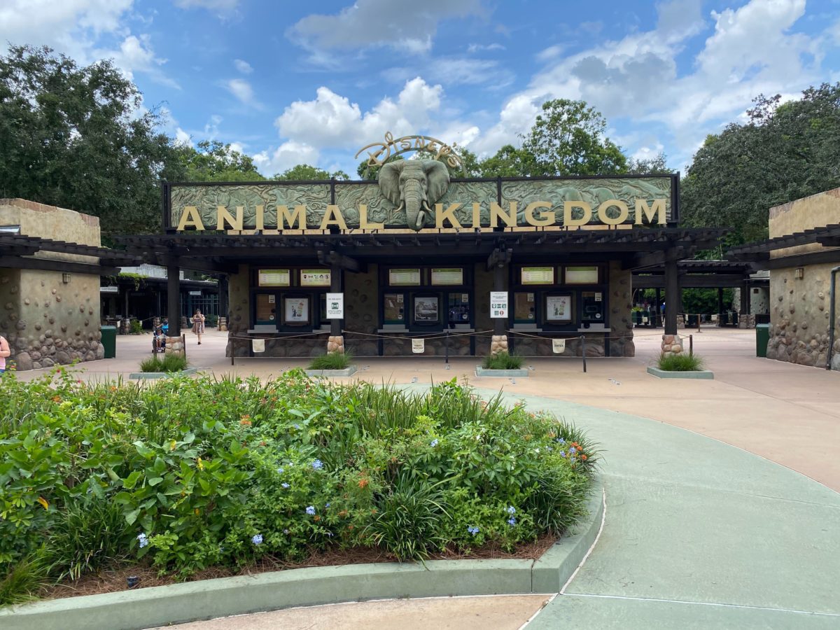entrance and sign of the animal kingdom