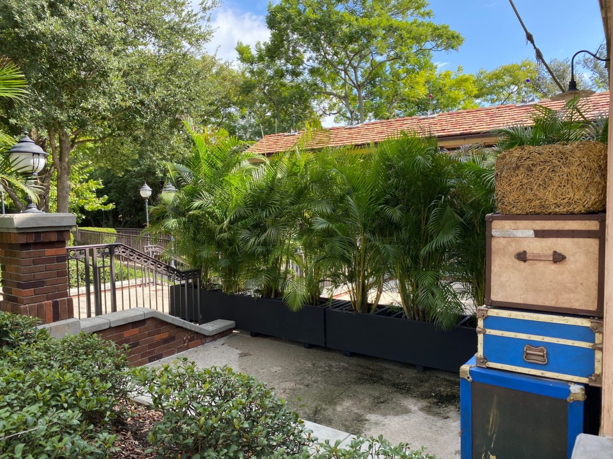 fantasyland-station-walt-disney-world-railroad-planters-magic-kingdom-8