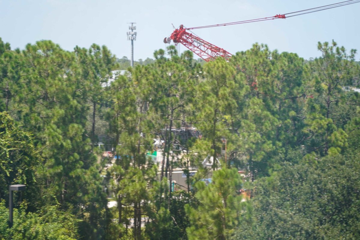 harmonious construction crane epcot