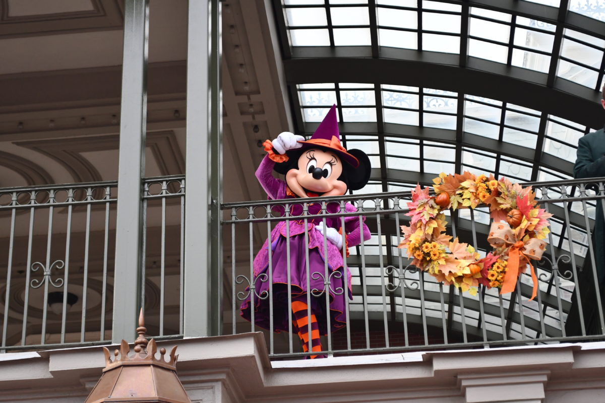 dsc_6444-8716397