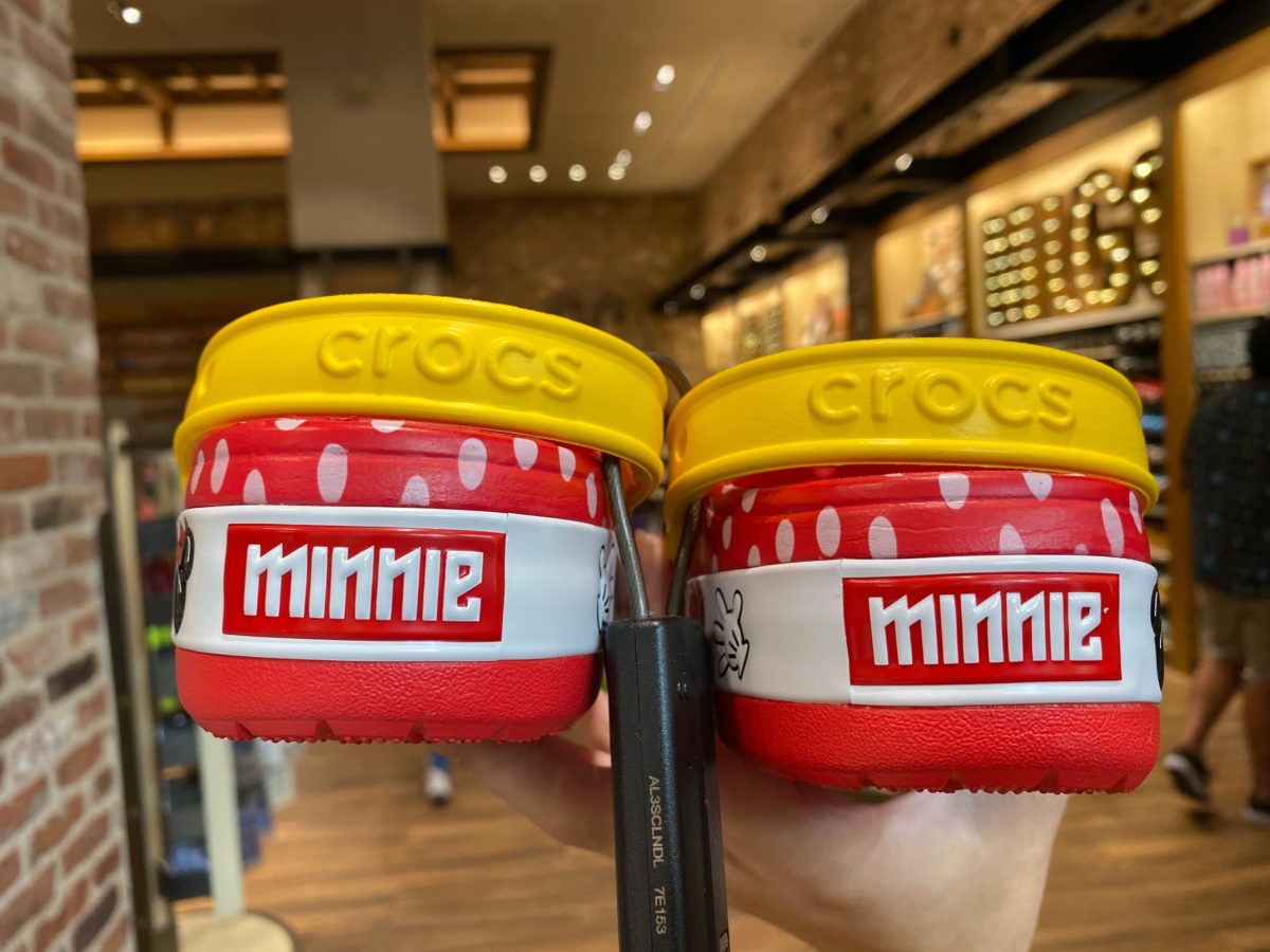 minnie-5-5089365