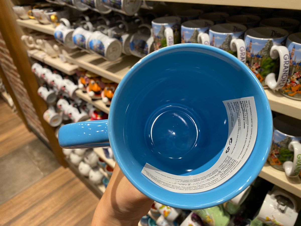 mug-disneyland-resort-8-2938525