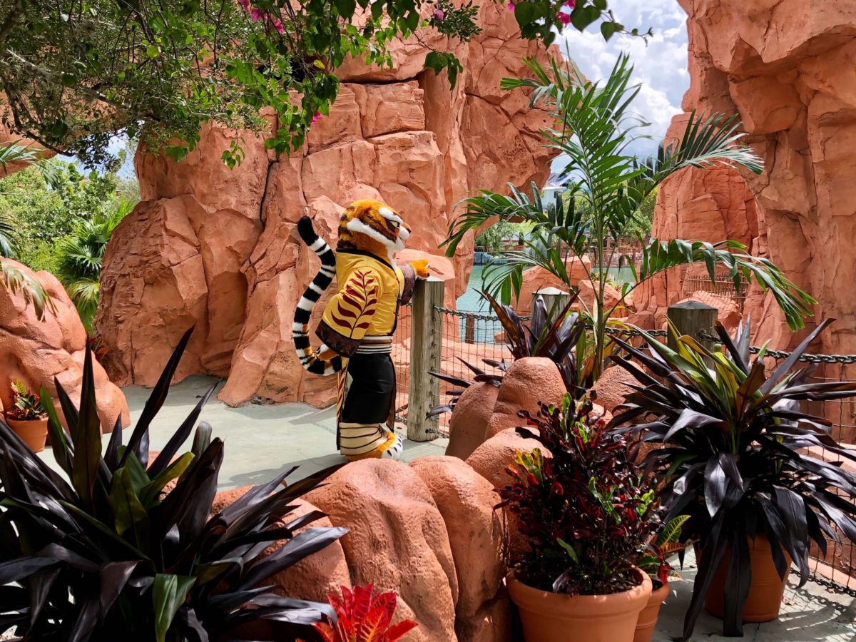the-lost-continent-universals-islands-of-adventure-meet-and-greet-tigress-and-gloria-12-2277667