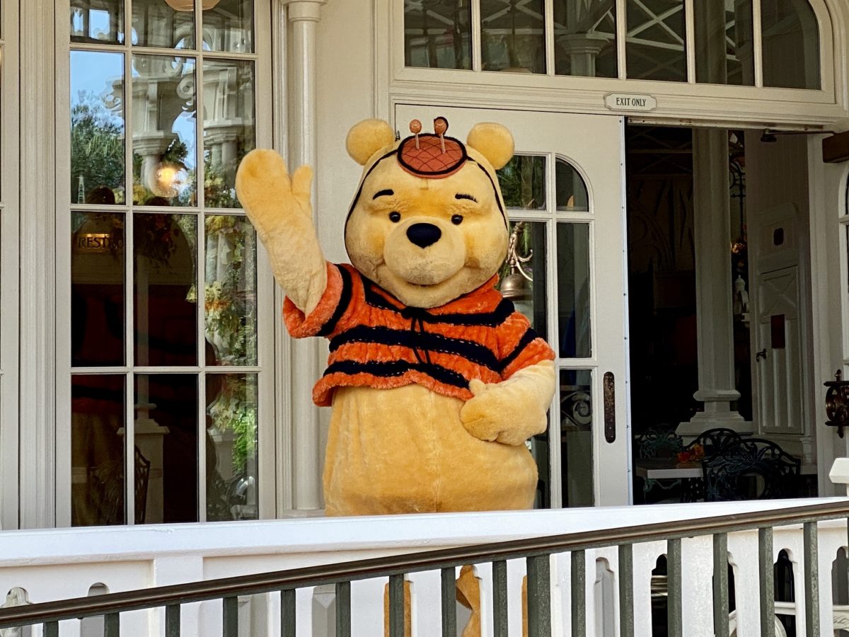 winnie-the-pooh-halloween-outfit-magic-kingdom-9212020-1325265