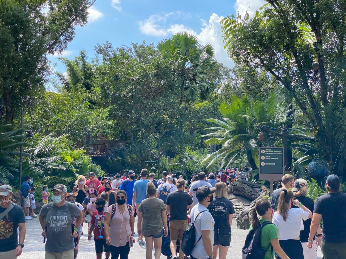 animal-kingdom-crowds-10