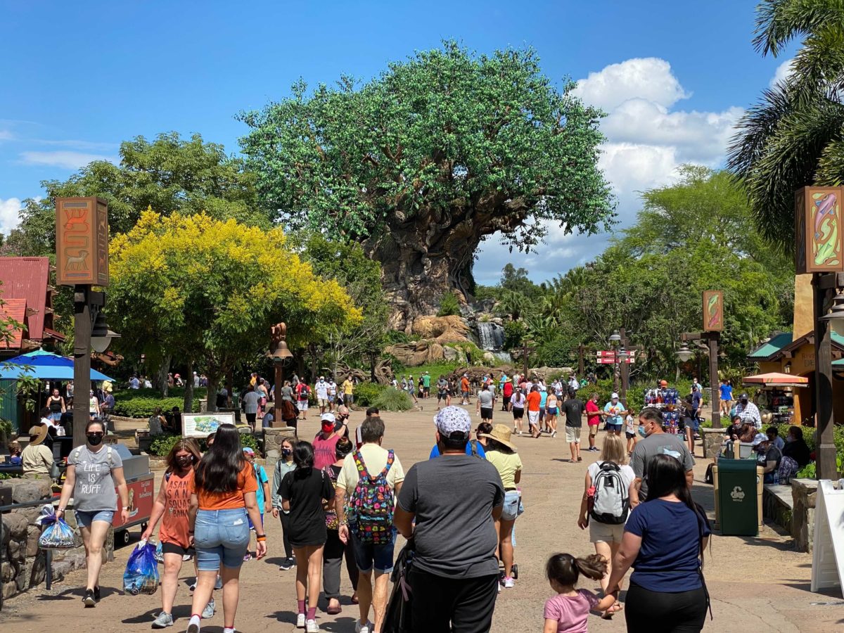 animal-kingdom-crowds-16