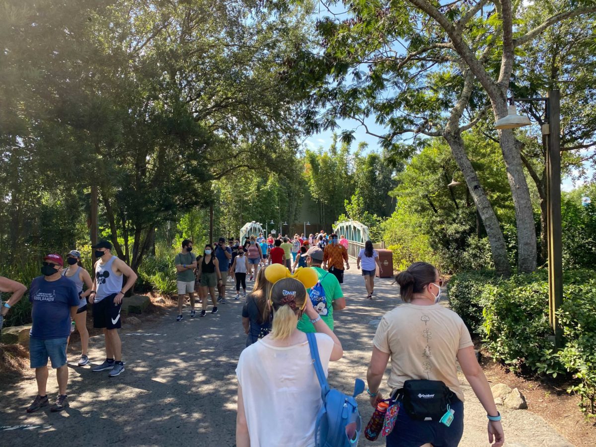 animal-kingdom-everest-crowds-1