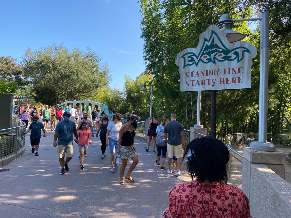 animal-kingdom-everest-line-2