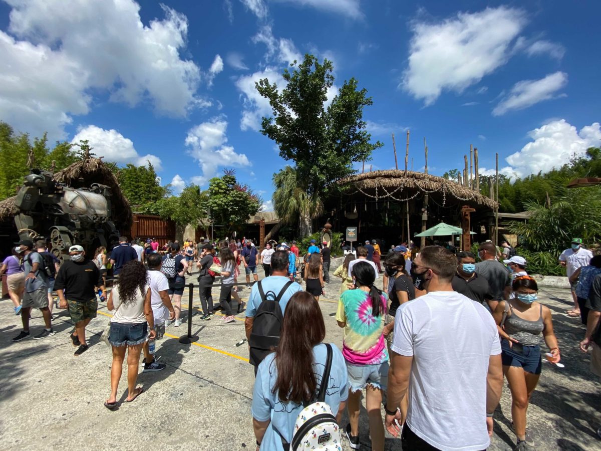 animal-kingdom-pandora-crowds-9
