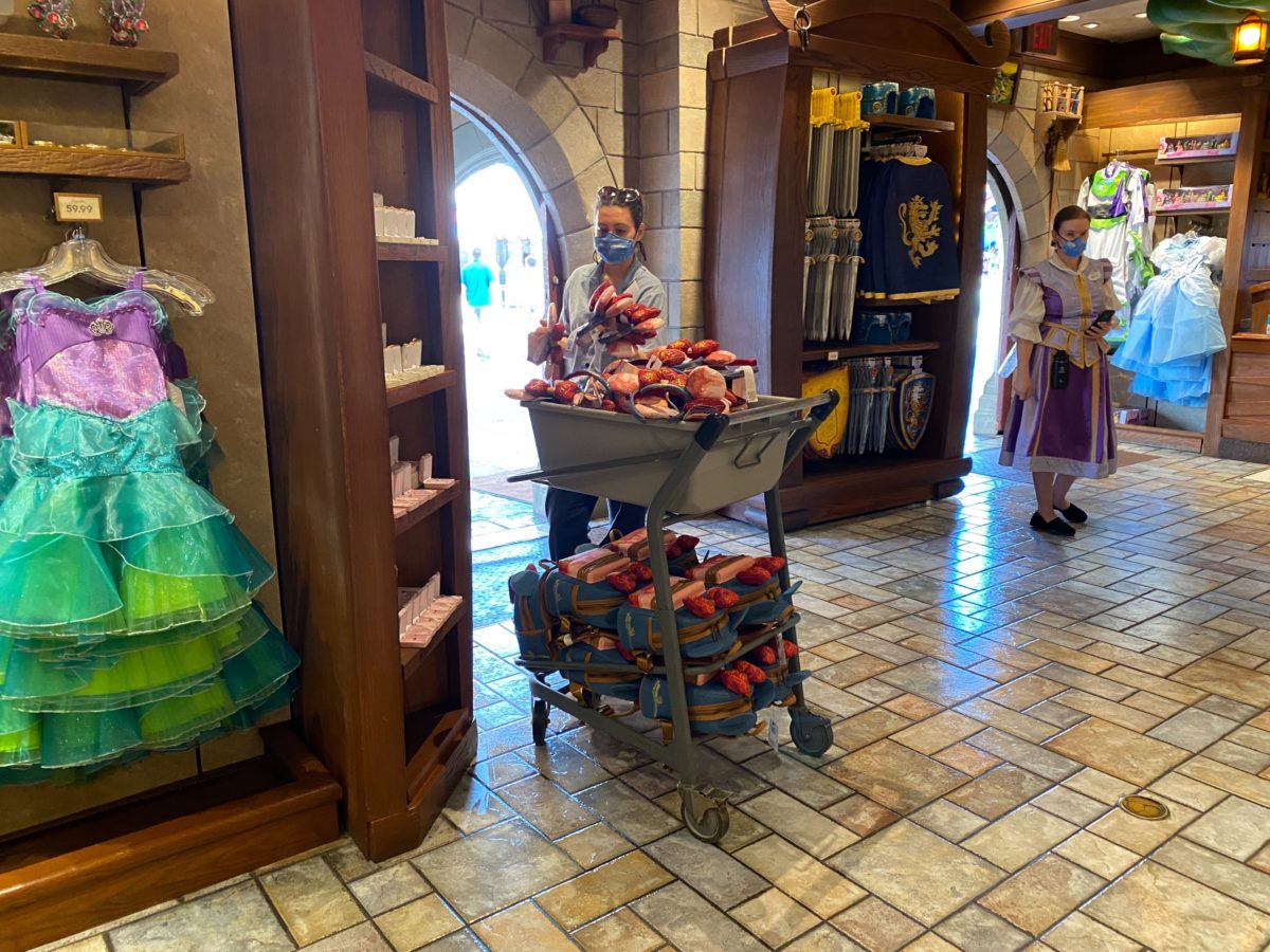 big-thunder-mountain-railroad-minnie-mouse-the-main-attraction-2