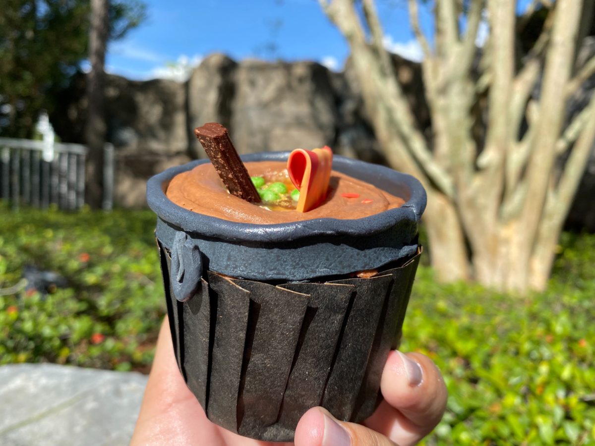 caramel-cauldron-cake-18