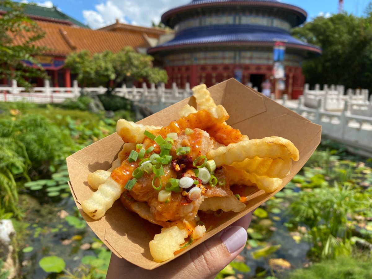 china-food-wine-shrimp-fries-6