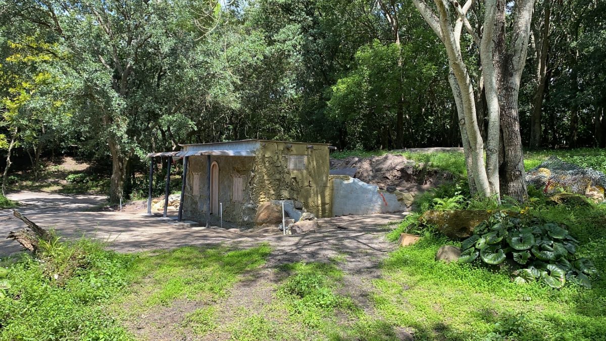 goat-house-kilimanjaro-safaris-10