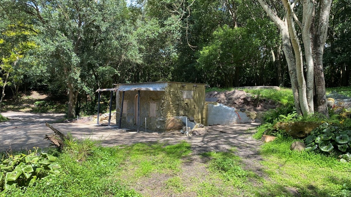 goat-house-kilimanjaro-safaris-11