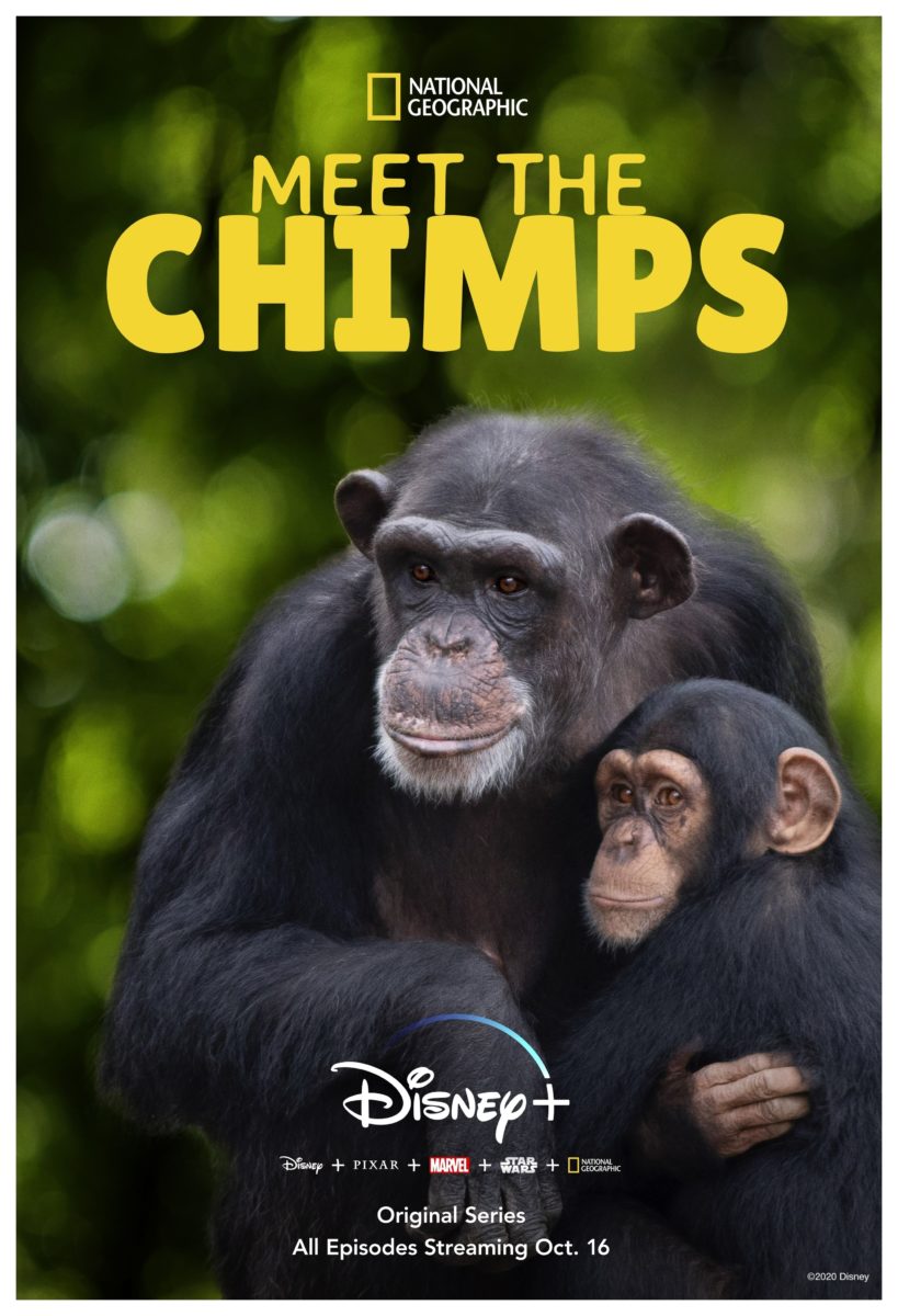 meet-the-chimps-national-geographic-disney-poster