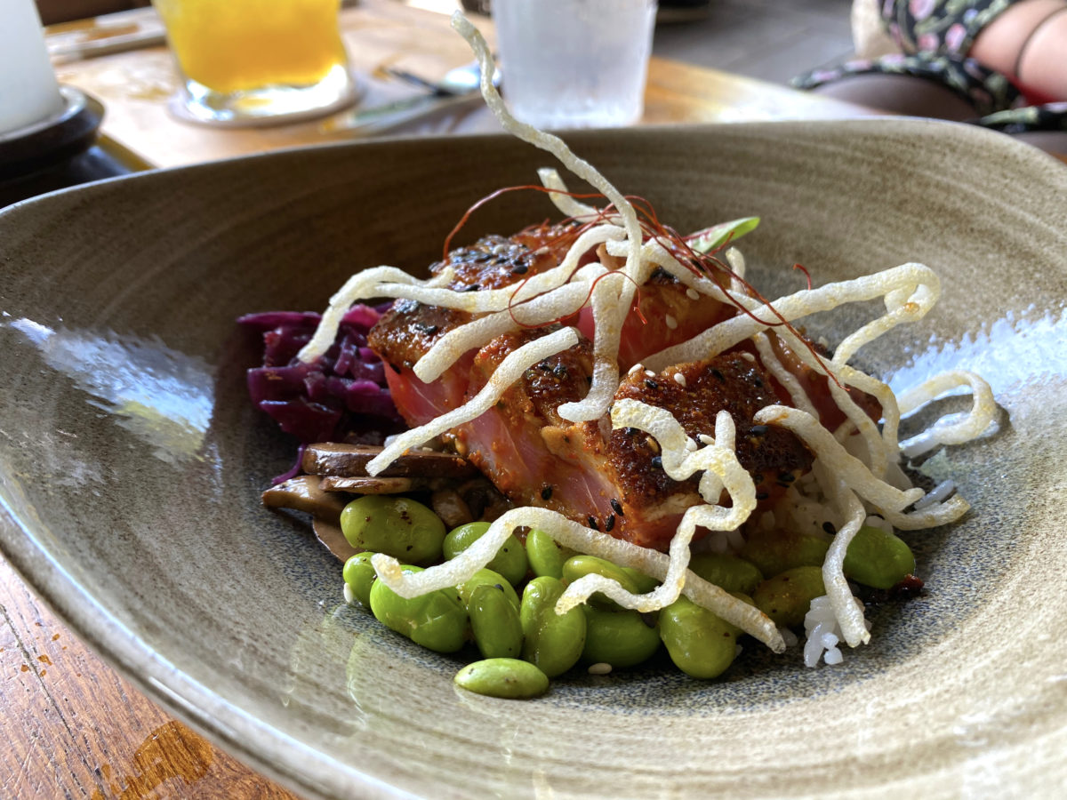 nomad-lounge-bowls-review-2020_21