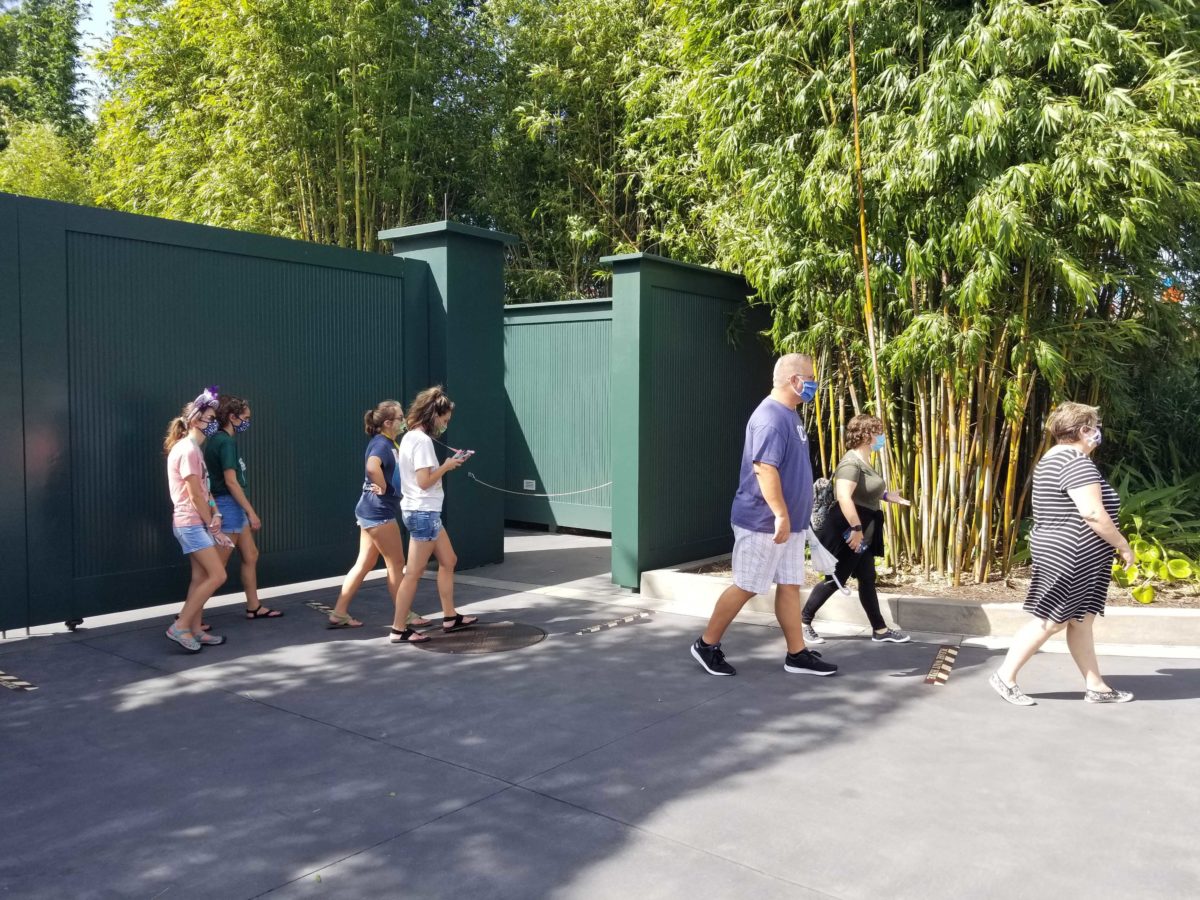 toy-story-mania-50-min-wait-2