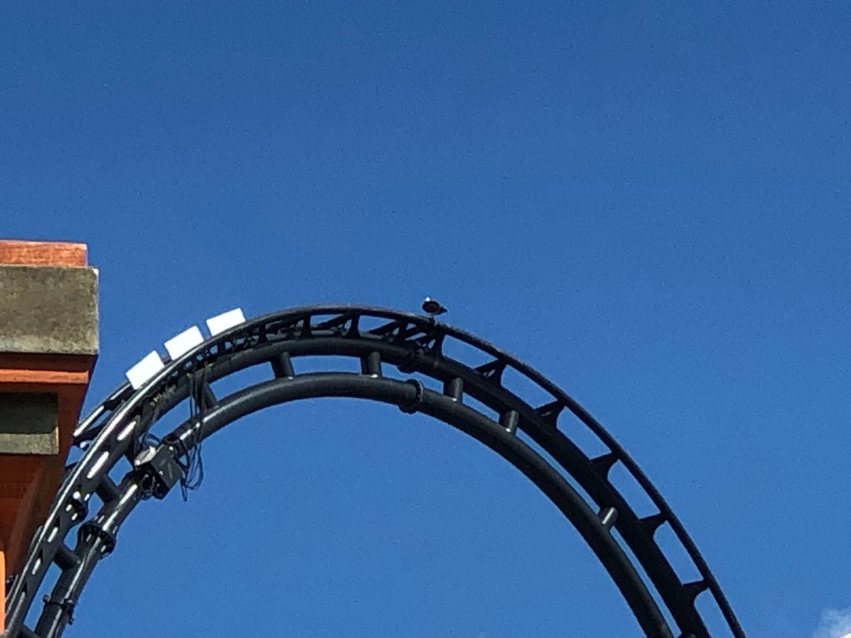 10-9-photo-report-universal-orlando-resort-1-8347140