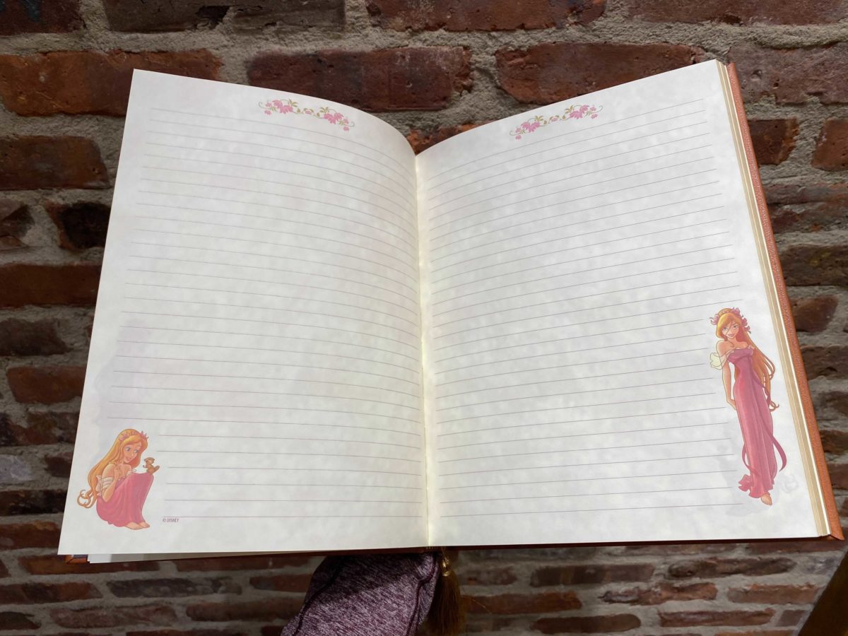 enchanted-diary-6-4598047