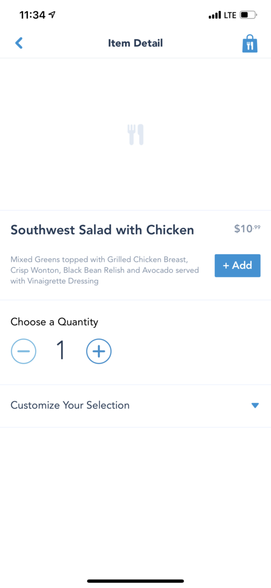 southwest-salad-with-chicken-back-at-backlot-express-hollywood-studios-10192020-6216602