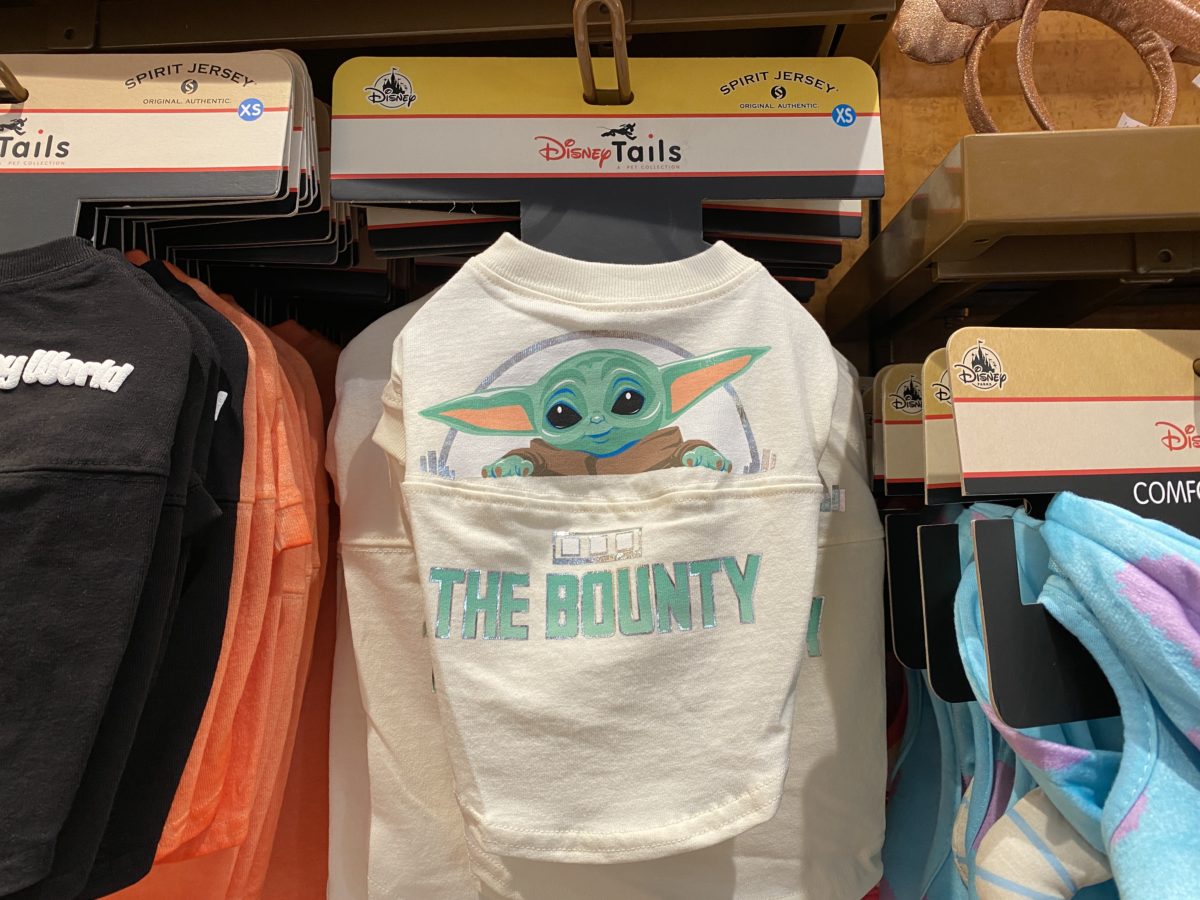 the-child-the-bounty-disney-tails-dog-spirit-jersey-hollywood-studios-10012020-3993098