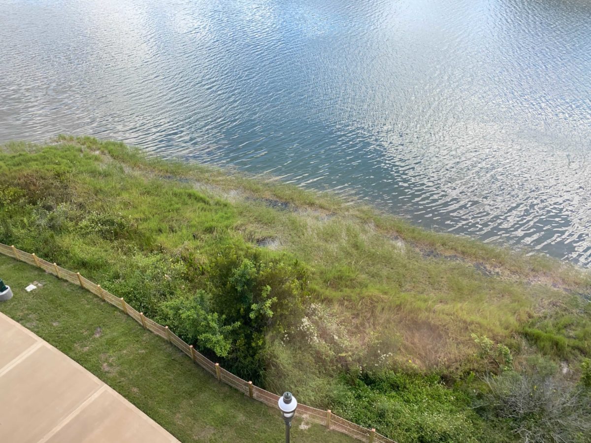 grand-floridian-walkway-8