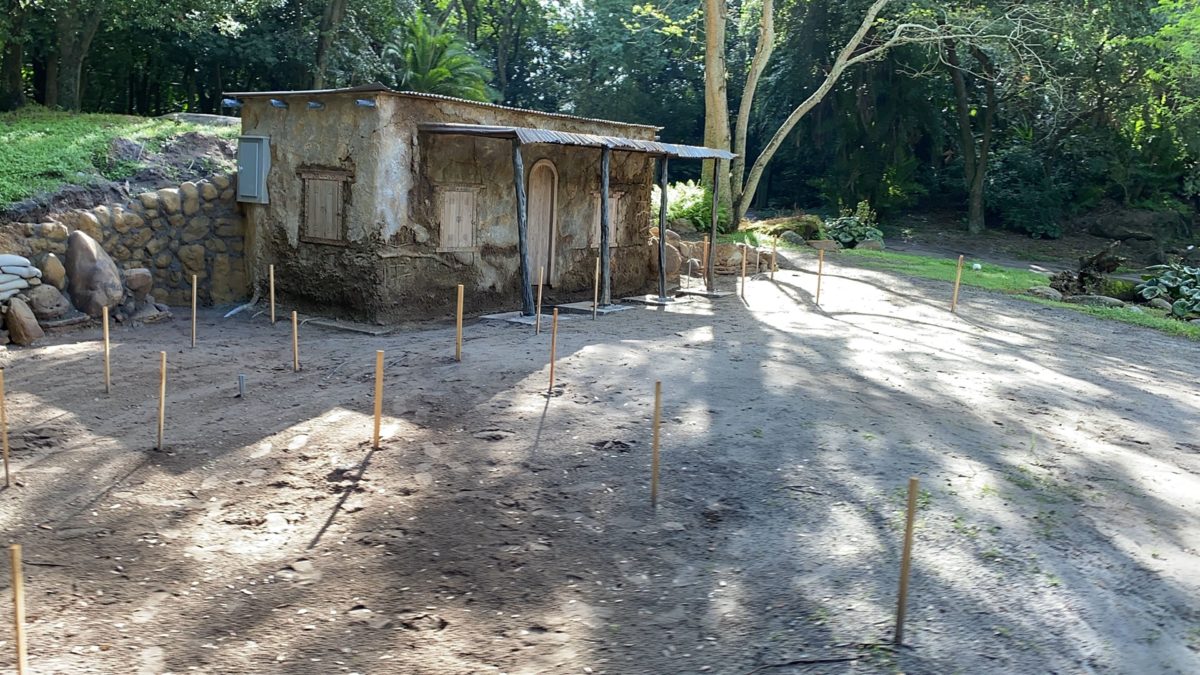 kilimanjaro-goat-exhibit-10-12-4