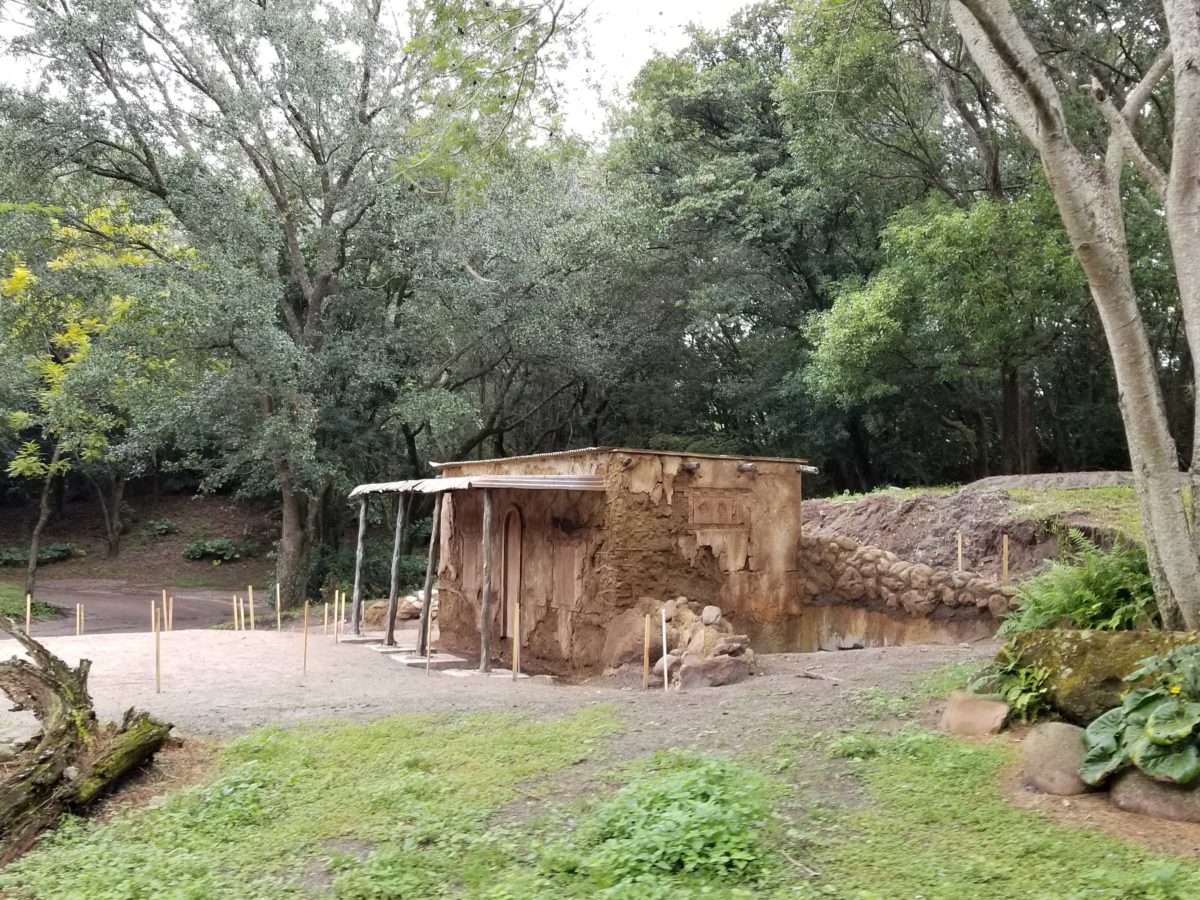 kilimanjaro-safaris-goat-exhibit-construction-october-21-2020-4-8423627-1200x900-1600586