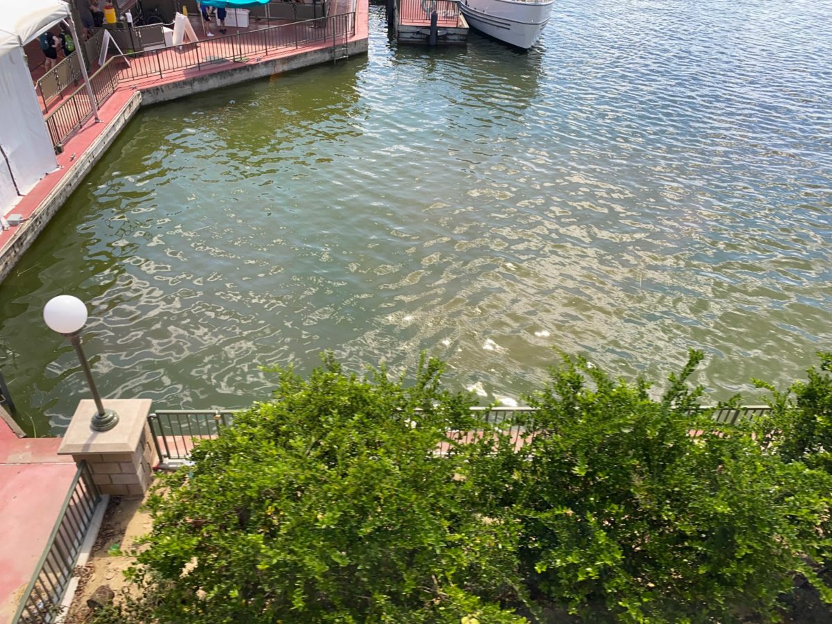 magic-kingdom-dock-10-12-13