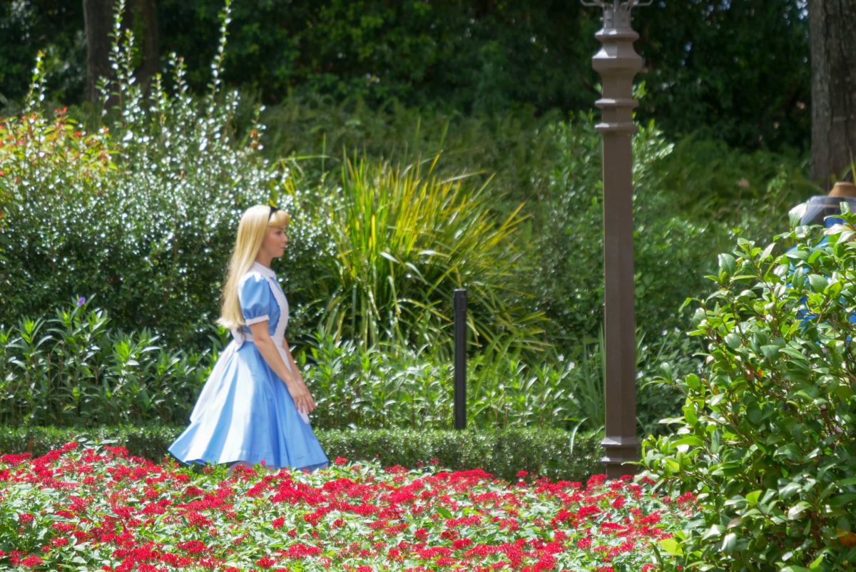 new-social-distance-alice-meet-and-greet-uk-pavilion_2-4791403