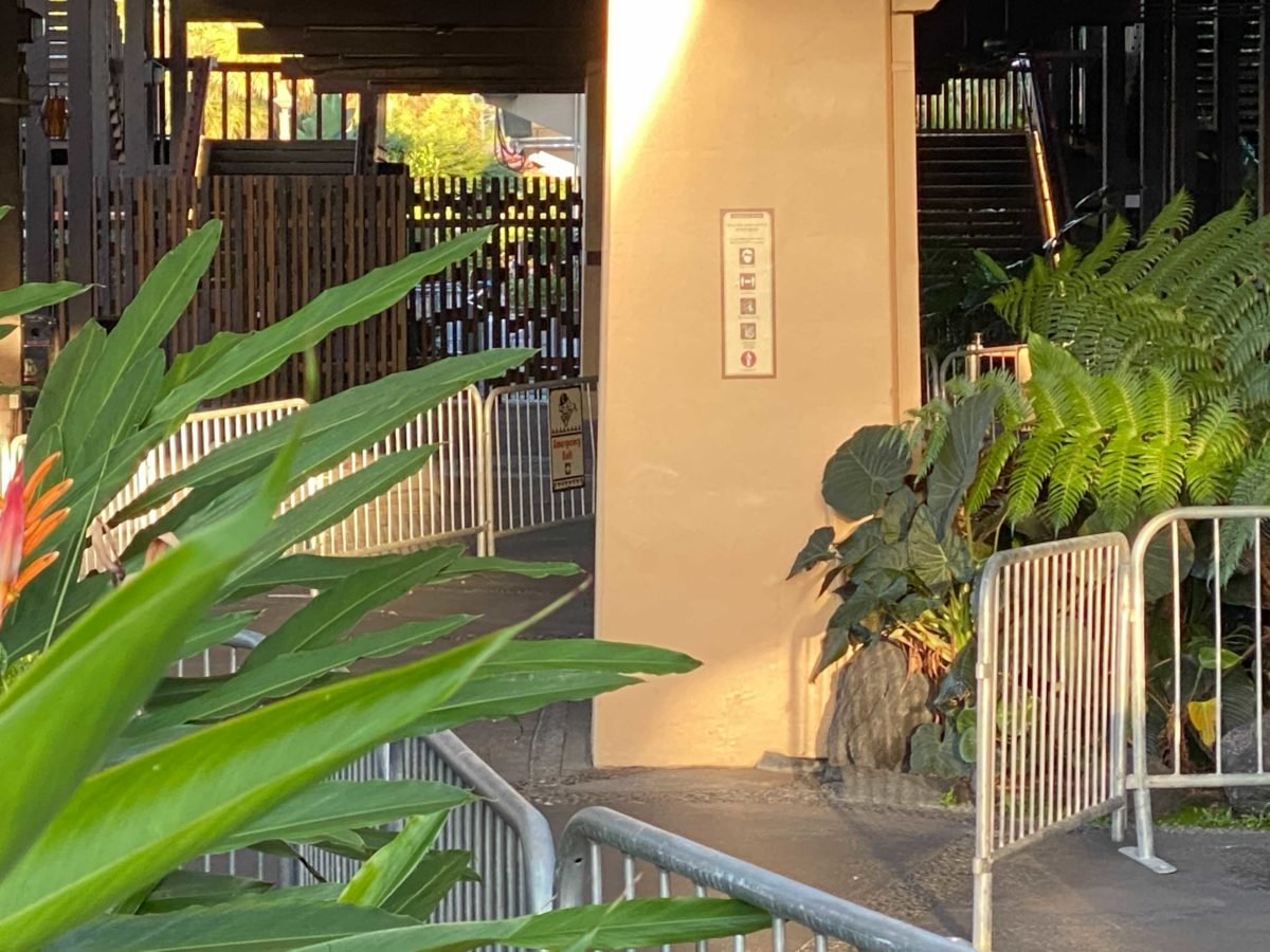 polynesian-refurb-10-09-12