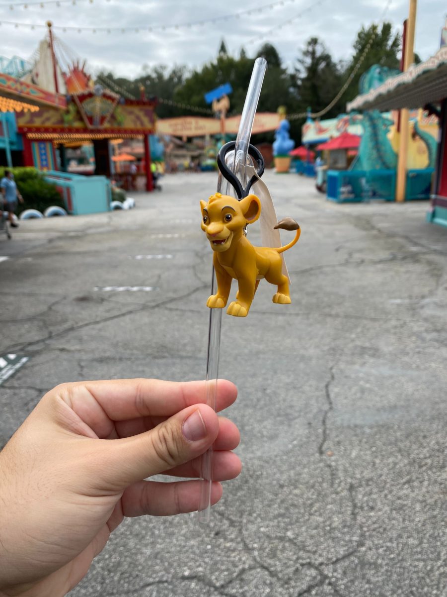 simba-reusable-straw-1