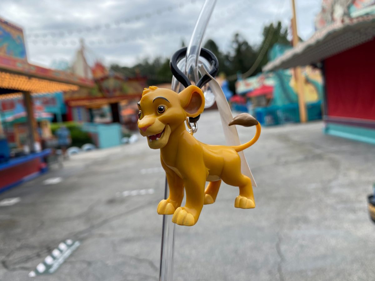 simba-reusable-straw-3