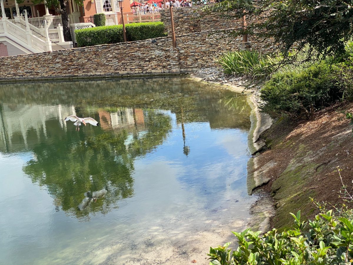 tom-sawyer-island-water-draining-2