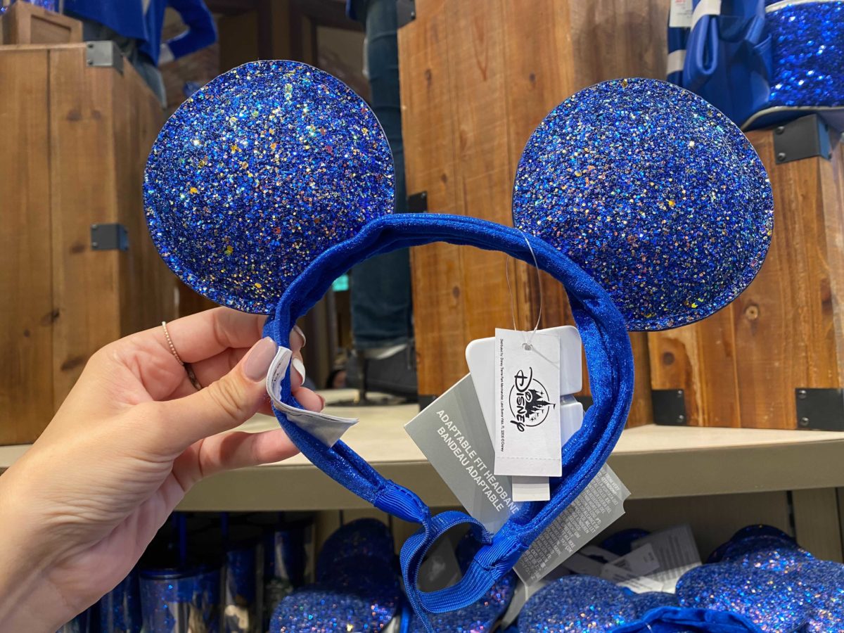 wishes-come-true-blue-downtown-disney-district-childrens-mouse-ears-3