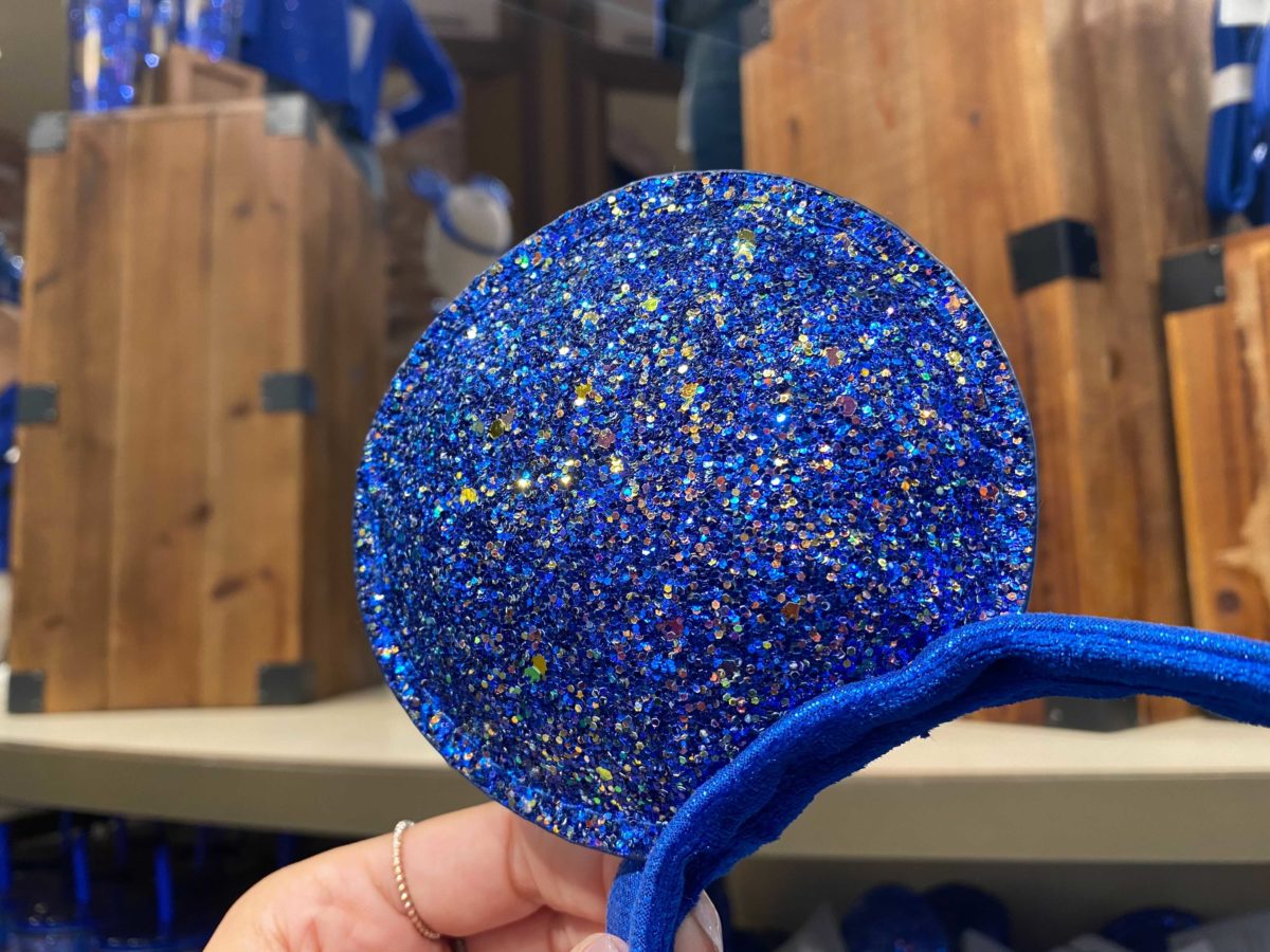 wishes-come-true-blue-downtown-disney-district-childrens-mouse-ears-5