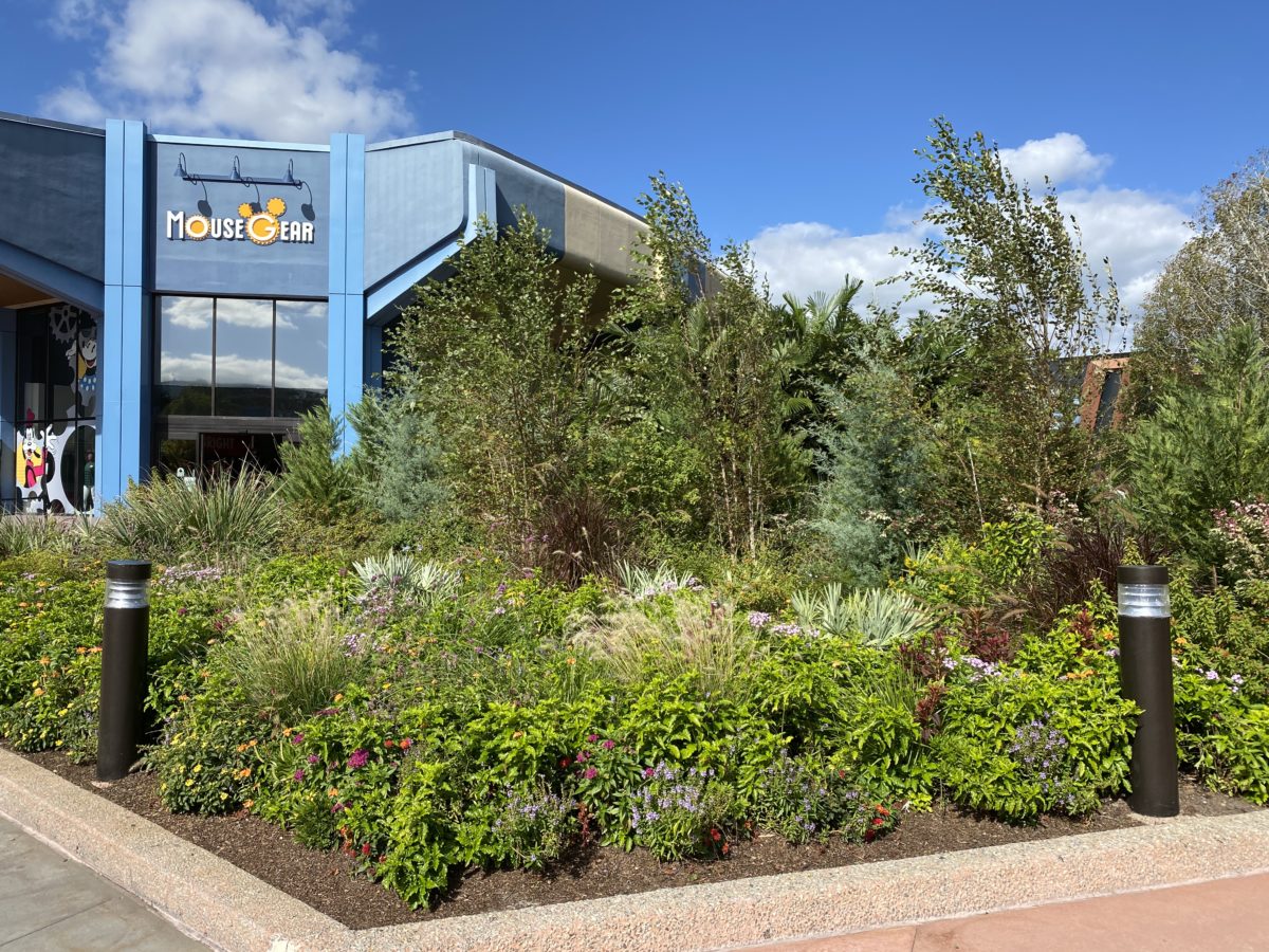 bambi-topiary-removed-epcot-11182020-3644452