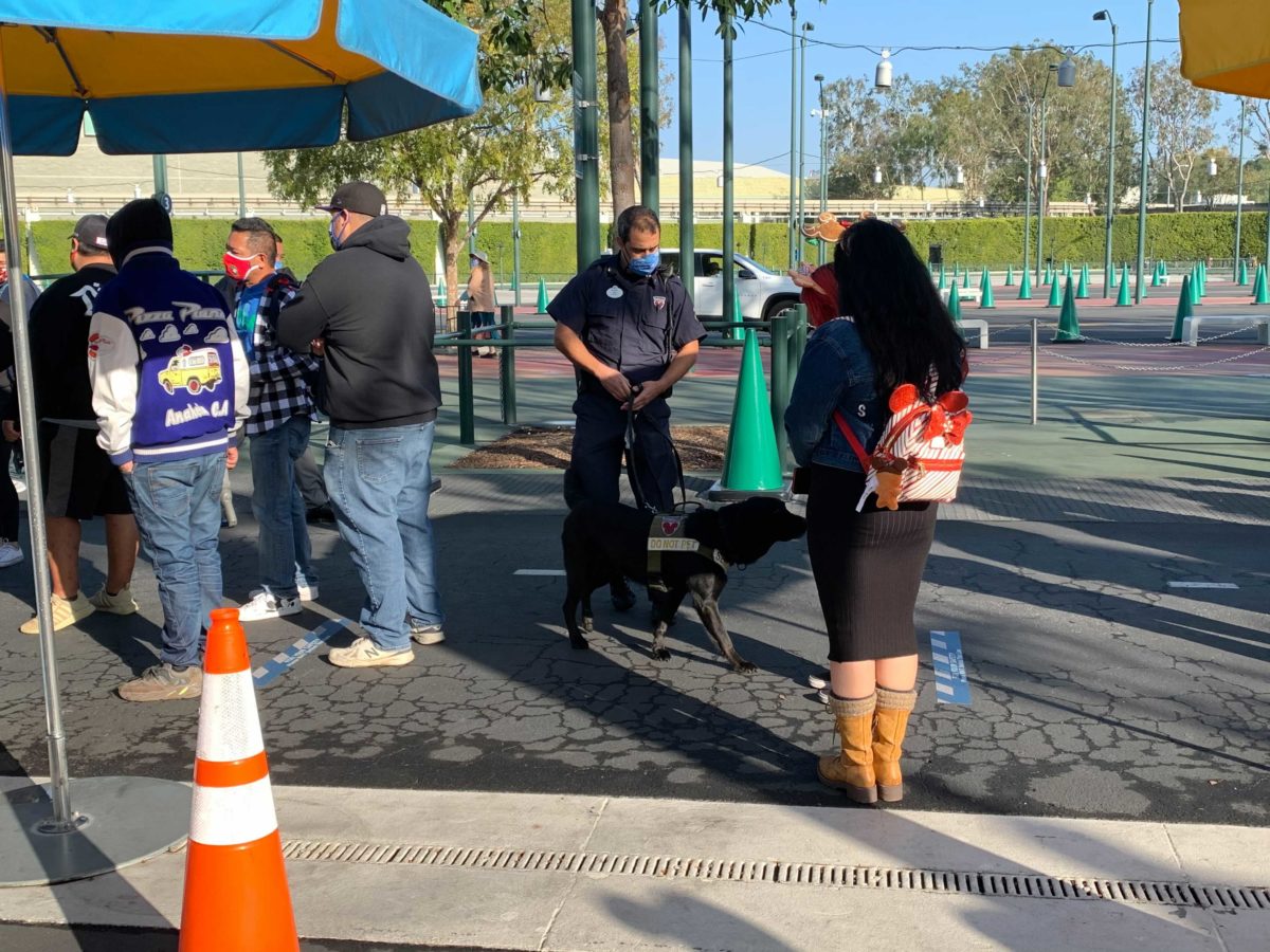 buena-vista-street-reopening-day-nov-19_24