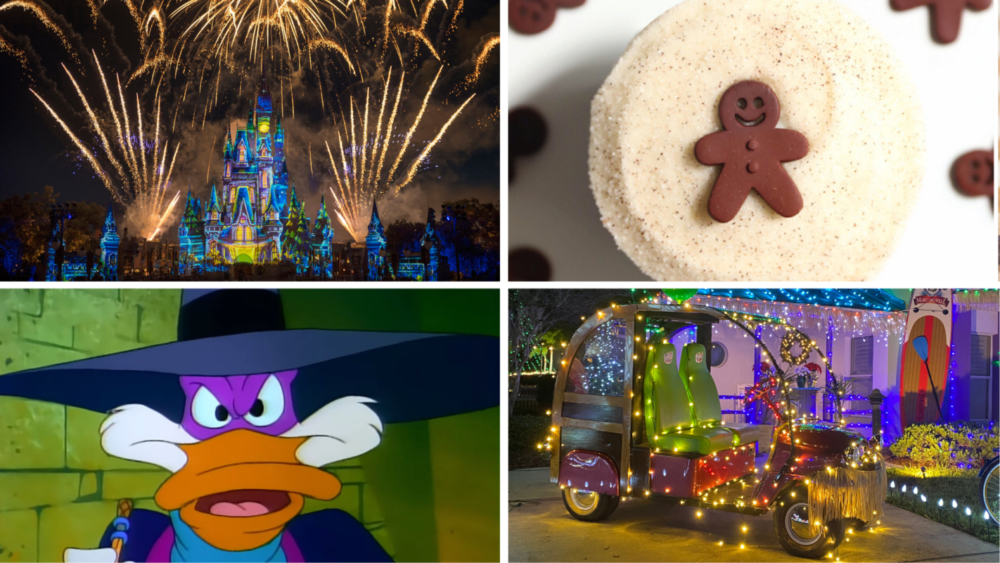 WDWNT Daily Recap 11.13.20